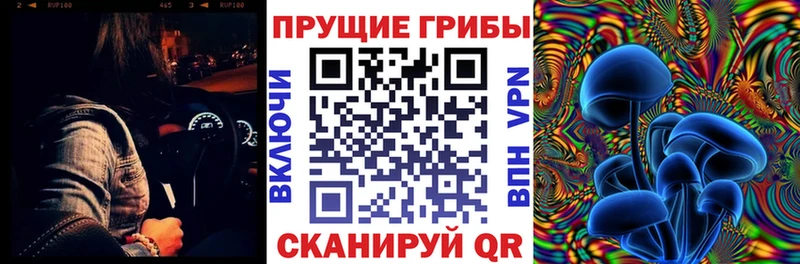 hydra ONION  это состав  Псилоцибиновые грибы Magic Shrooms  Знаменск 