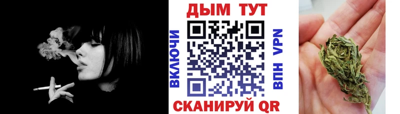 ссылка на мегу вход  продажа наркотиков  Знаменск  МАРИХУАНА сатива 